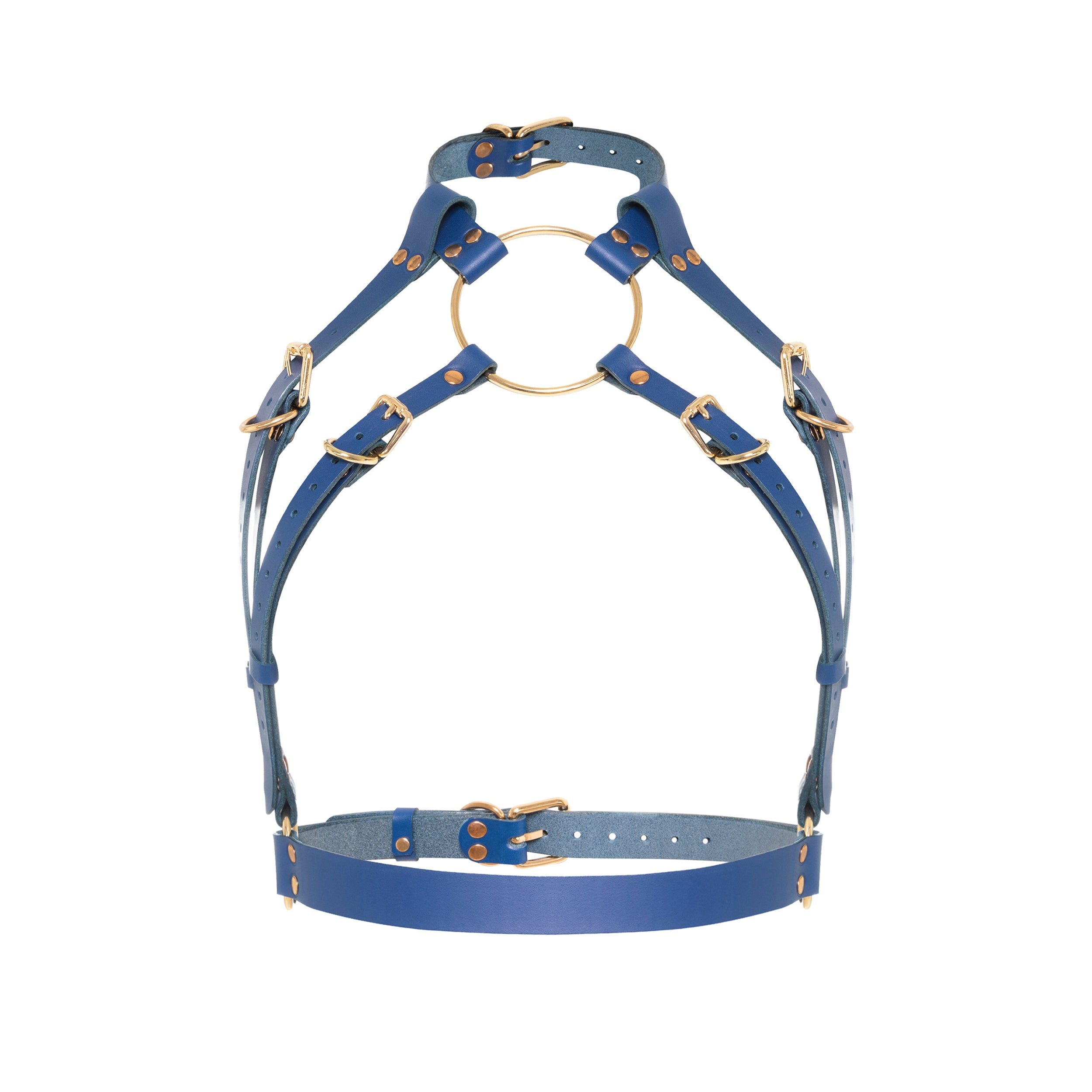 Pictured here is a leather cage chest harness. The harness has an open bust and a gold chain.