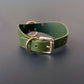 Green leather collar with gold hardware on a gray background