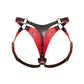 Back view of an adjustable strap-on harness with a thong-style rear construction, adjustable leather straps, round metal rings, black leather with red edges, and dark nickel hardware.