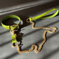 Green leather collar and chain leash on a gray background