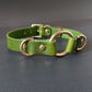 Green leather collar with gold rings on a gray background