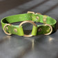 Green leather collar with gold rings on a gray surface