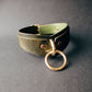 Leather collar with brass hardware on a dark gray background