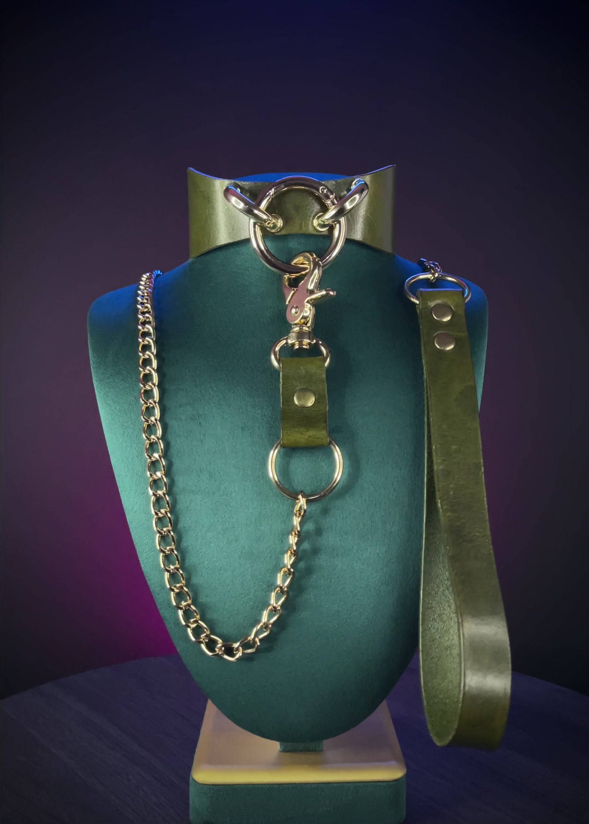 Bondage set collar and leash